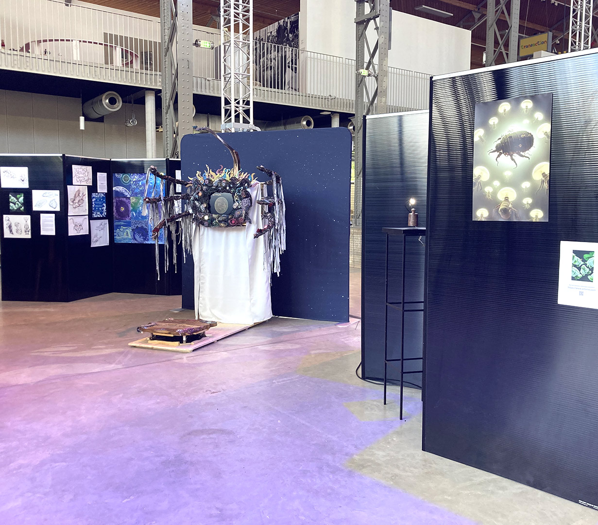 Vue d'ensemble par Zandrine C