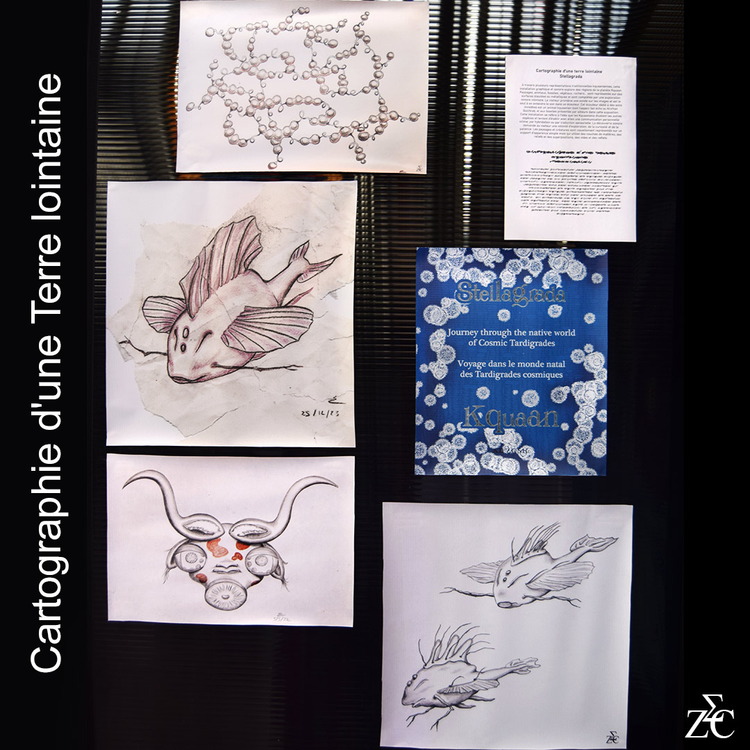 Cartographie, tirages par Zandrine C