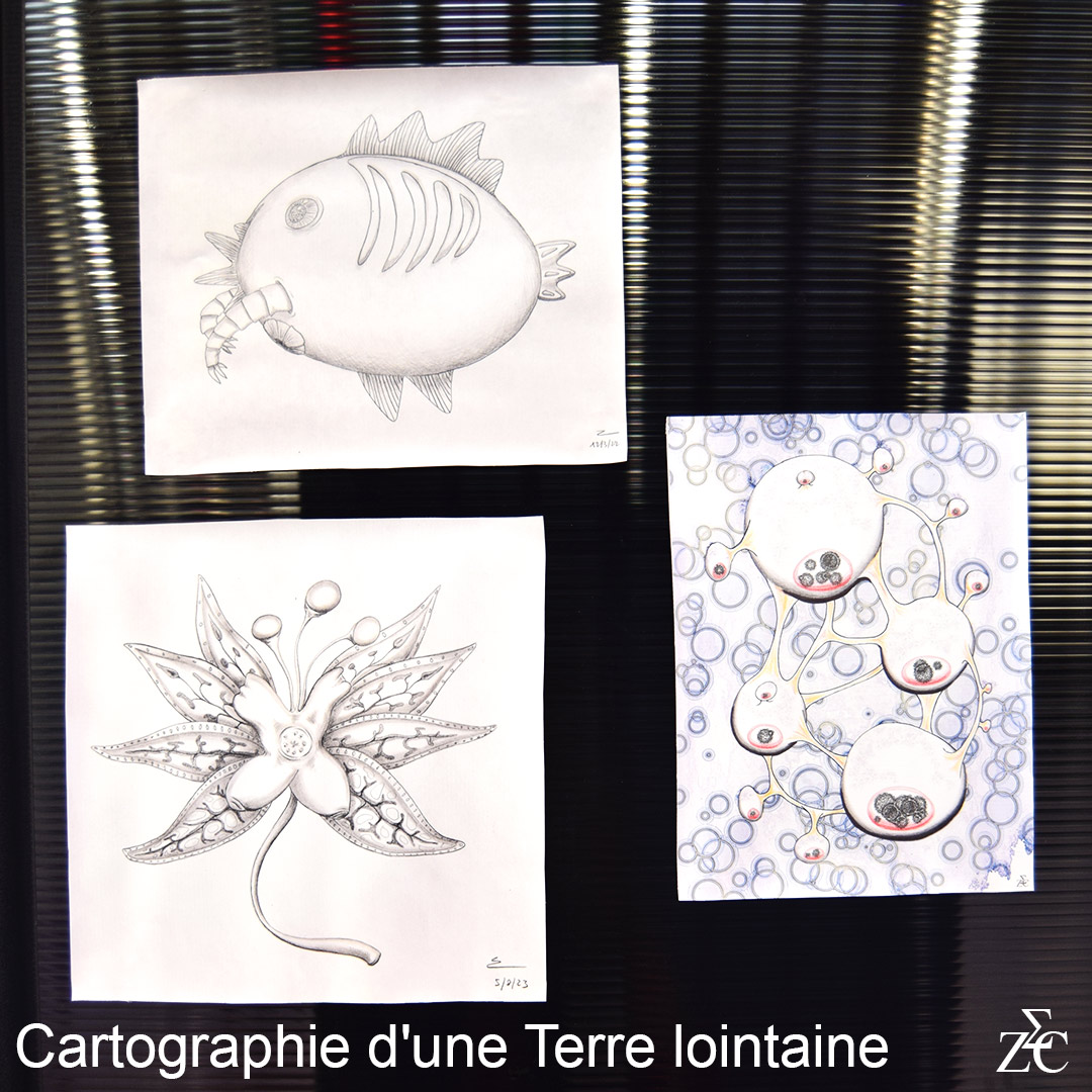 Cartographie, tirages par Zandrine C