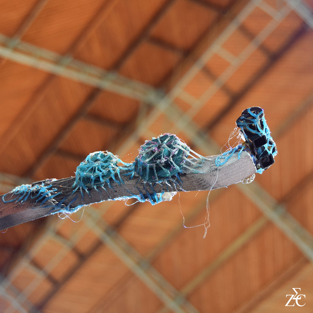 Kra'han Quichrab, tentacule supérieur par Zandrine C