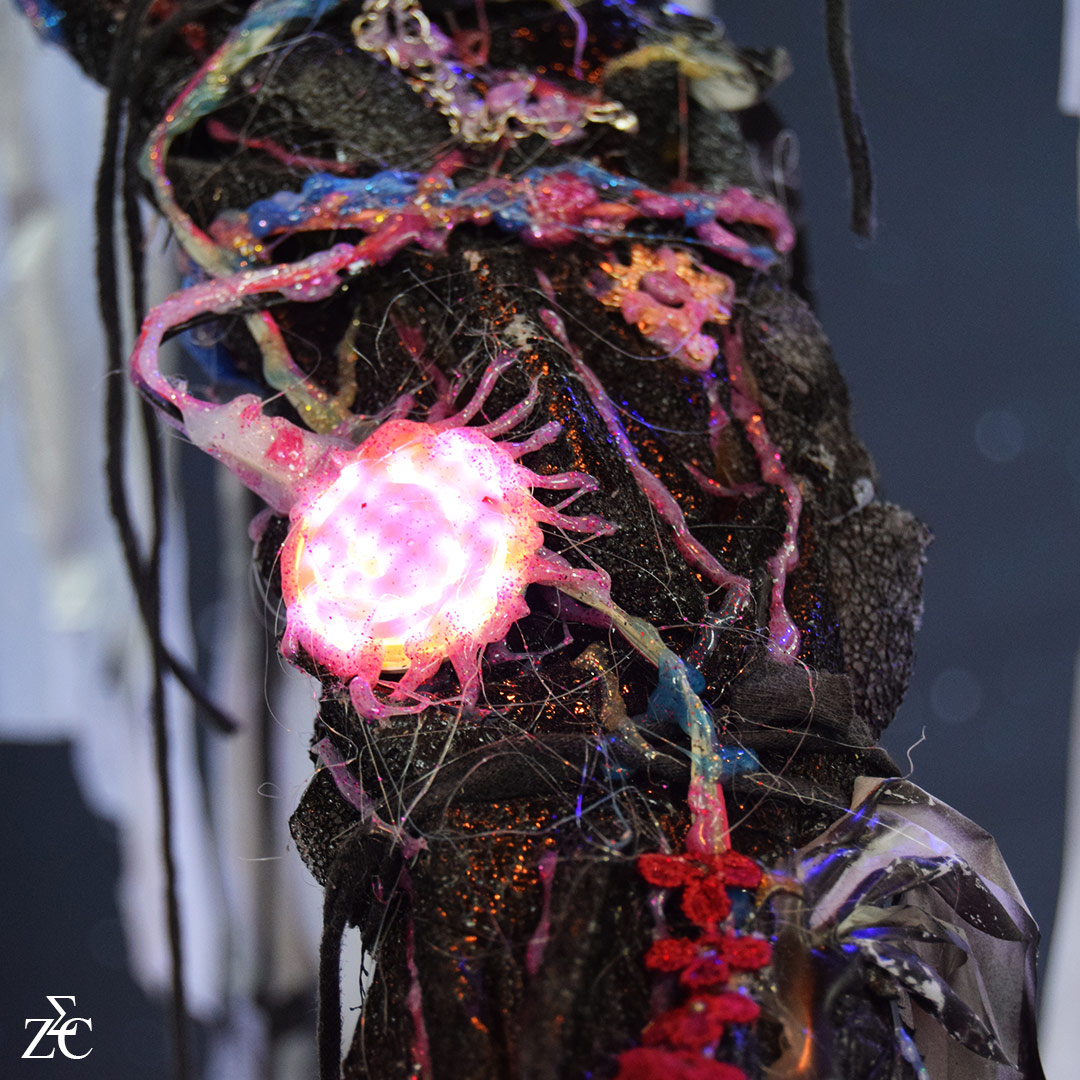 Exposition Star's Up 2024