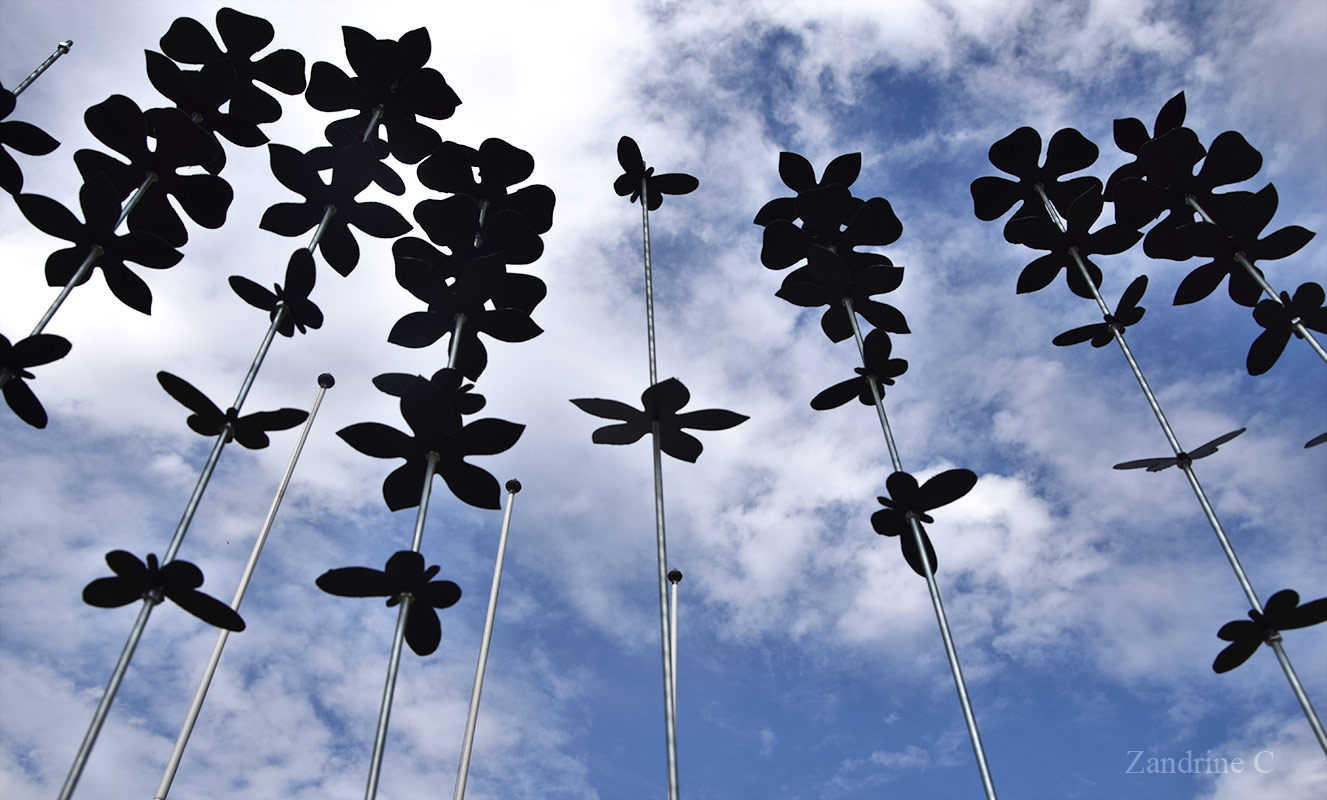 Asthénie par Zandrine C