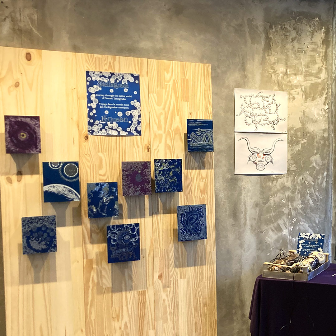 Cartographie d'une Terre lointaine par Zandrine C