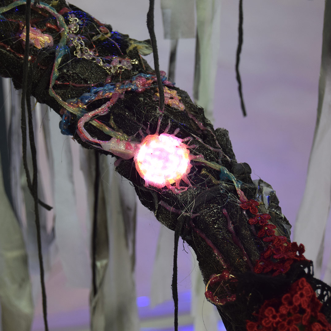 Tentacule latéral par Zandrine C