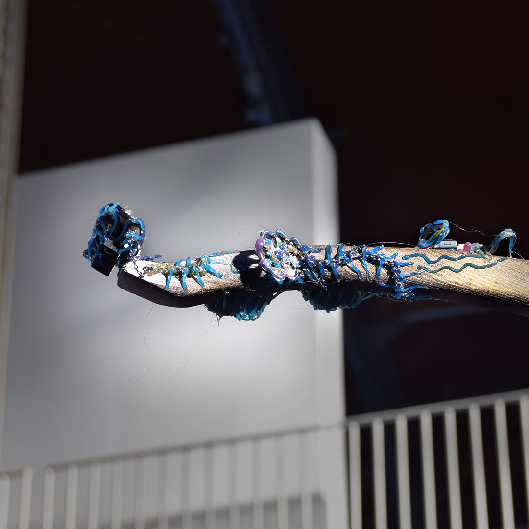 Tentacule supérieur par Zandrine C