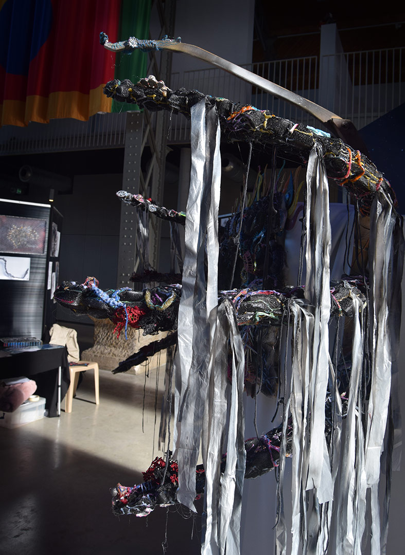 Tentacules latéraux par Zandrine C