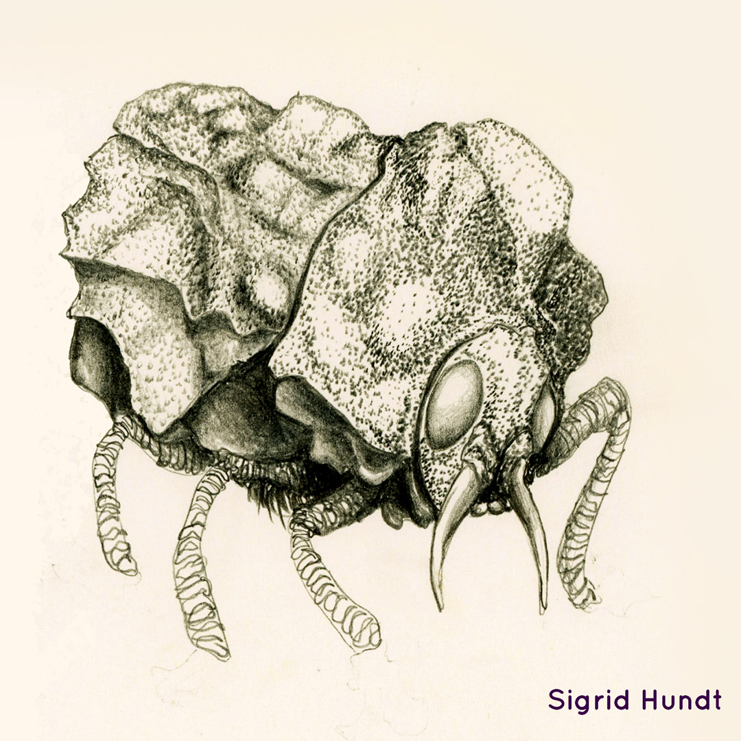 Extrakquaaniens futurs par Zandrine C