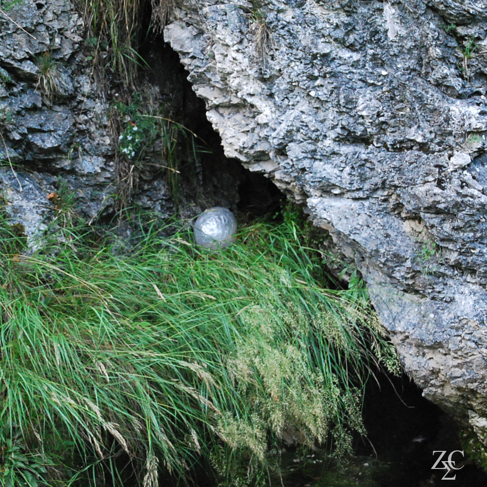 Oeufs de Dragon par Zandrine C