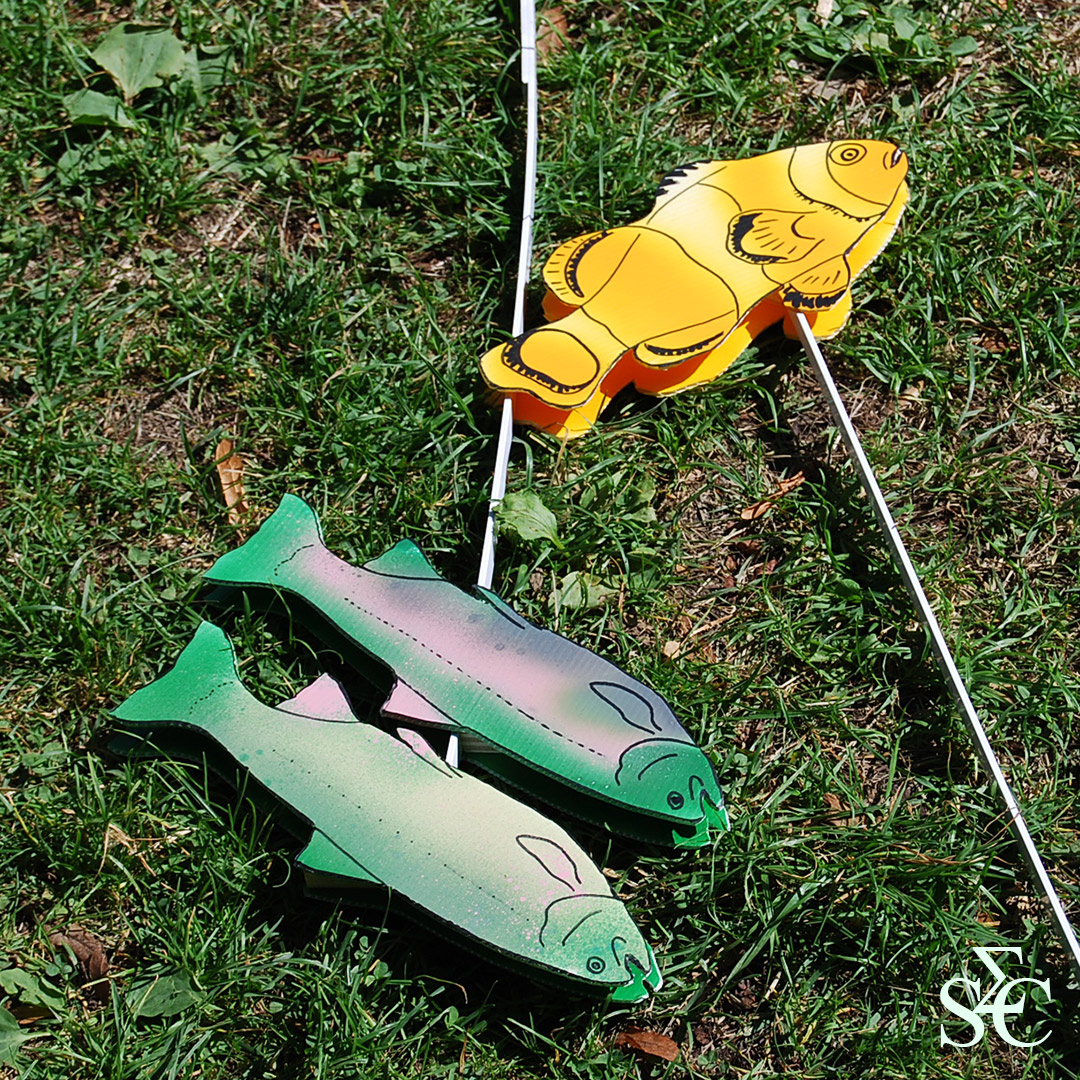 Poissons bondissant au-delà du pont par Zandrine C