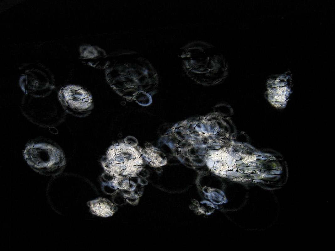 Projection à la Crivella par Zandrine C