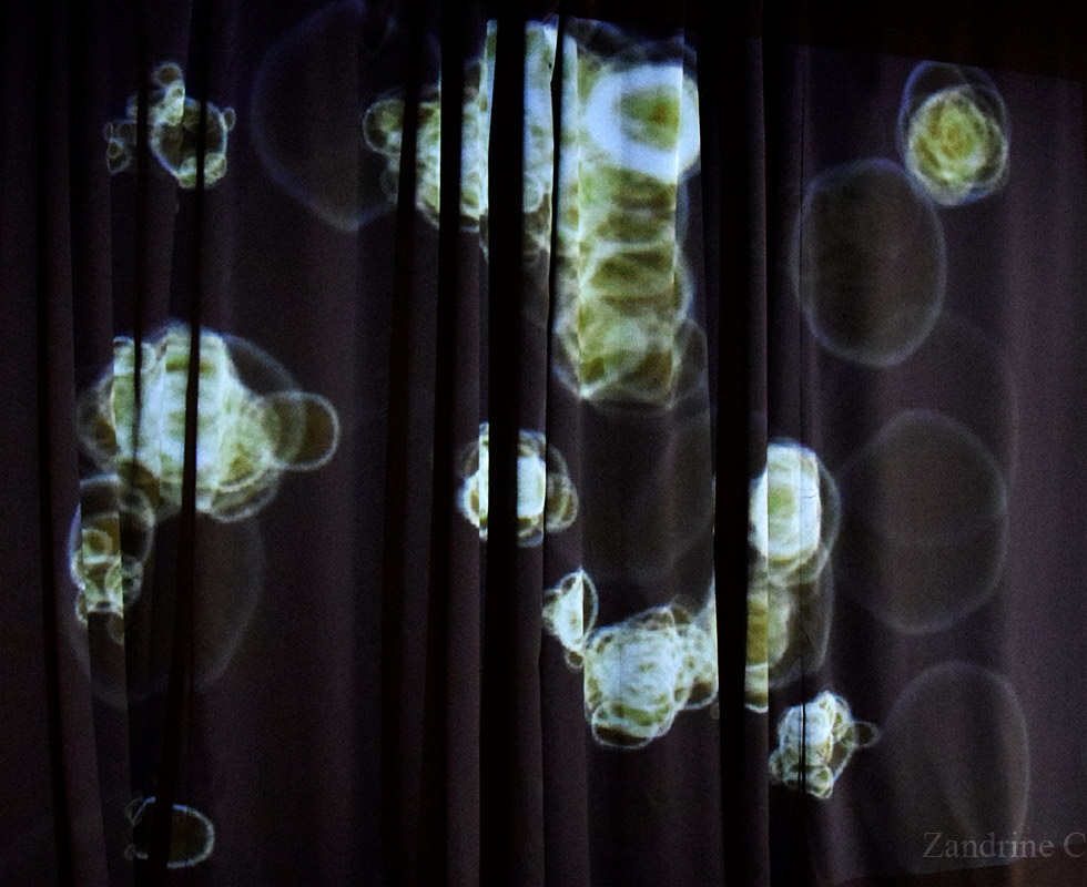 Projection à la MPT par Zandrine C