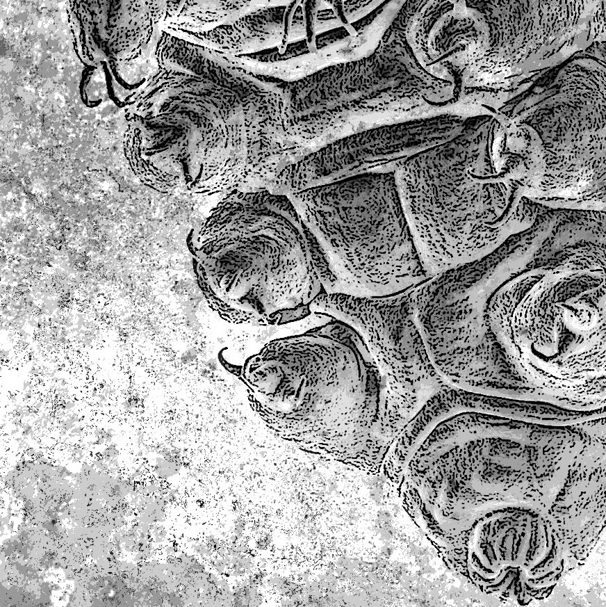 Mots de Kquaan par Zandrine C