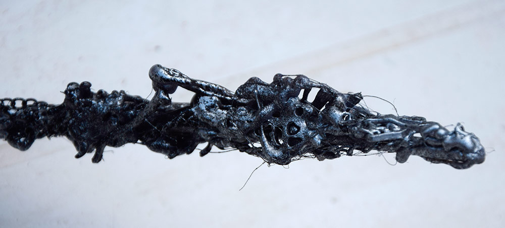 Fossile - 7 par Zandrine C