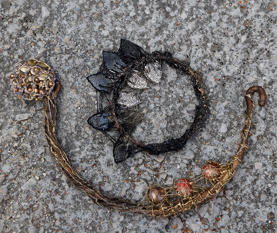 Fossiles - 8 et 9 par Zandrine C