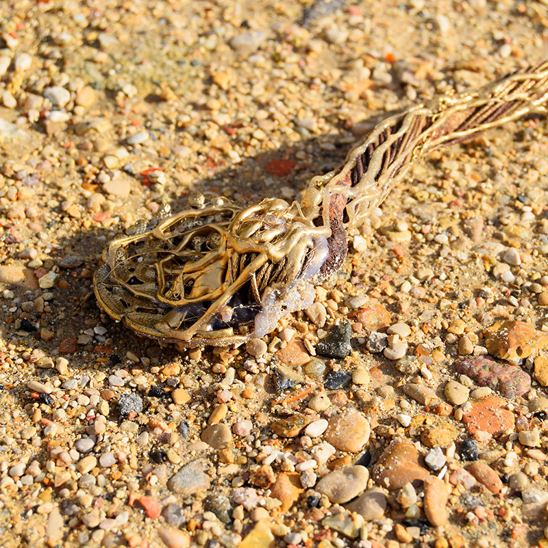 Fossile - 8 par Zandrine C