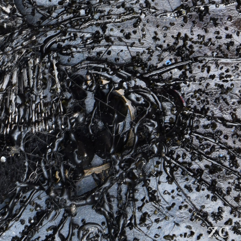 Fossiles sableux par Zandrine C