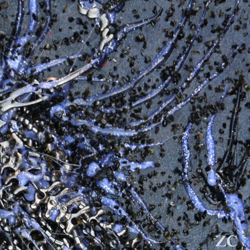 Fossile 4 par Zandrine C