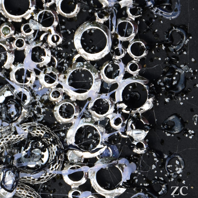 Fossile 5 par Zandrine C