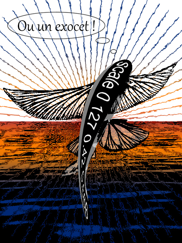 <img alt="" src="/user/pages/03.travaux/04.compositions-visuelles/tout/01.petit-scalare-25hbd-2023/04.jpg?name" /> par Zandrine C