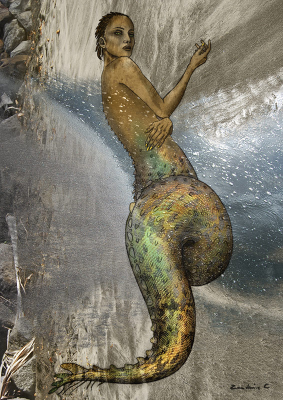 <img alt="" src="/user/pages/03.travaux/04.compositions-visuelles/tout/05.lamiae-2015/lamiae-2016-22x31.jpg?name" /> par Zandrine C