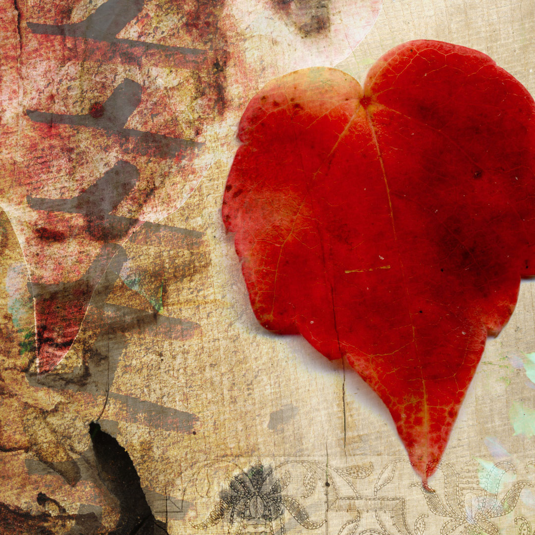 <img alt="" src="/user/pages/03.travaux/04.compositions-visuelles/tout/10.contree-du-lierre-rouge-2013/Contree-du-lierre-rouge-2013-zandrine-c-details-01.jpg?name" /> par Zandrine C