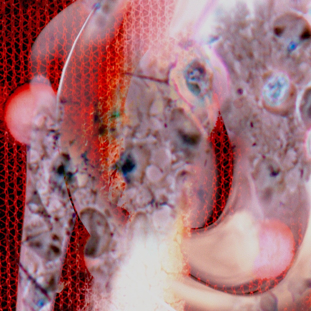 <img alt="" src="/user/pages/03.travaux/04.compositions-visuelles/tout/11.ecoute-2013/Ecoute-zandrine-c-detail-1.jpg?name" /> par Zandrine C