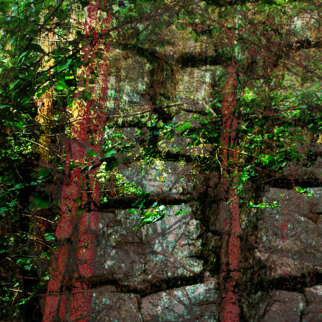 <img alt="" src="/user/pages/03.travaux/04.compositions-visuelles/tout/13.dyptique-forestier-2009/Dyptique-foret-zandrine-c-details-assise-1.jpg?name" /> par Zandrine C