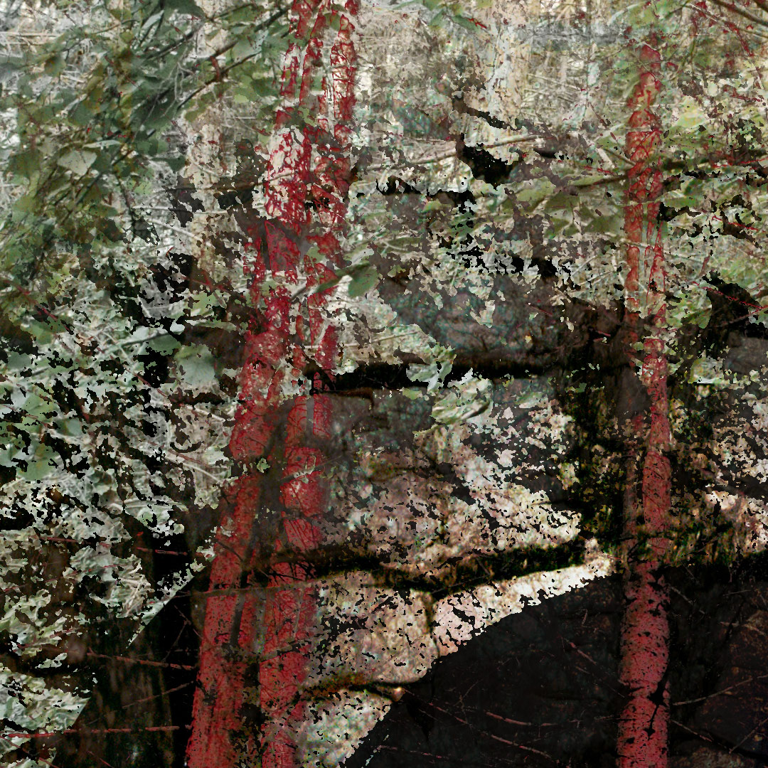 <img alt="" src="/user/pages/03.travaux/04.compositions-visuelles/tout/13.dyptique-forestier-2009/Dyptique-foret-zandrine-c-details-beton-1.jpg?name" /> par Zandrine C