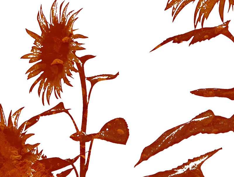 <img alt="" src="/user/pages/03.travaux/04.compositions-visuelles/tout/16.tournesols-2007/tournesols-03-2007-detail.jpg?name" /> par Zandrine C