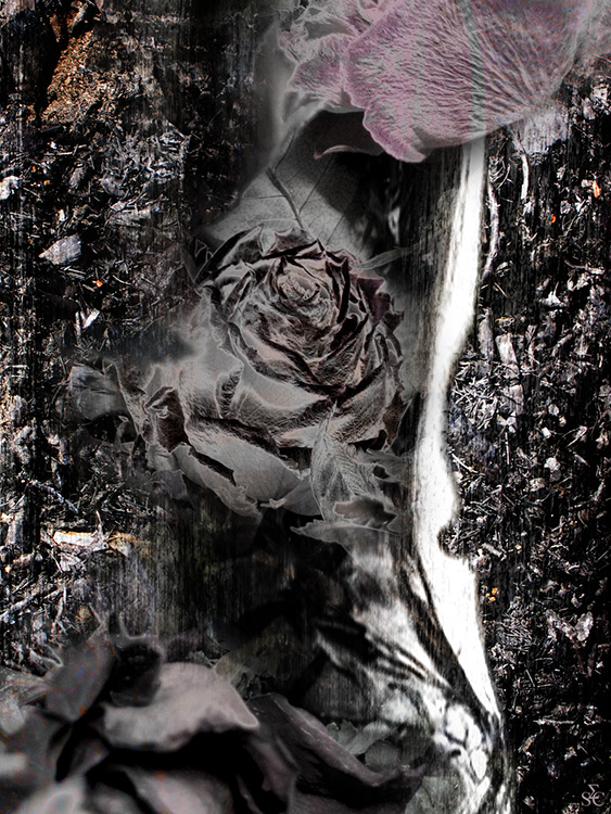 <img alt="" src="/user/pages/03.travaux/04.compositions-visuelles/tout/17.dyptique-vertebral-2006/Vertèbres-Diptyque2-2006.jpg?name" /> par Zandrine C