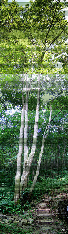 <img alt="" src="/user/pages/03.travaux/04.compositions-visuelles/tout/20.grands-frenes-2005/Grands-frenes-2005-zandrine-c.jpg?name" /> par Zandrine C