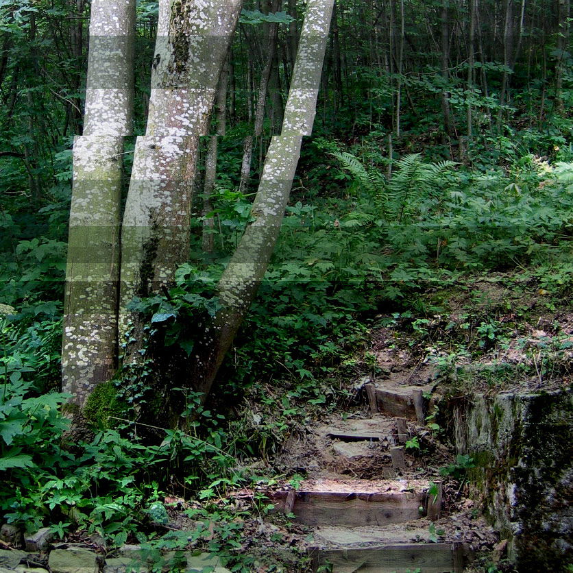 <img alt="" src="/user/pages/03.travaux/04.compositions-visuelles/tout/20.grands-frenes-2005/details-1.jpg?name" /> par Zandrine C