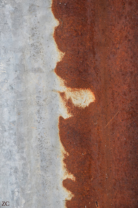 Rivage 1 par Zandrine C