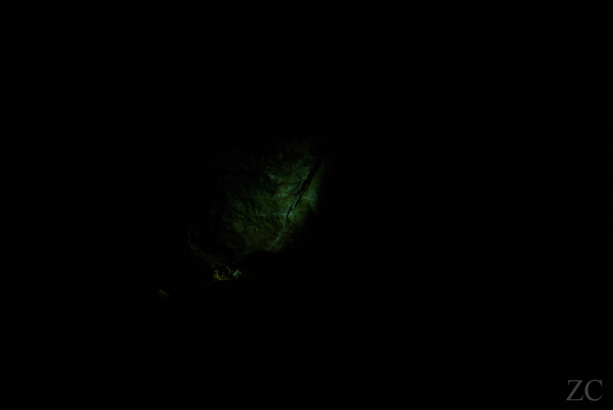 Démon 3 par Zandrine C