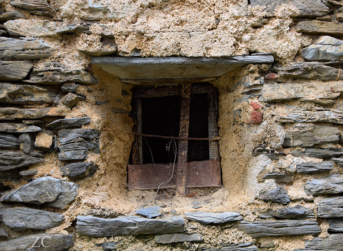 Crivella Sorrana par Zandrine C