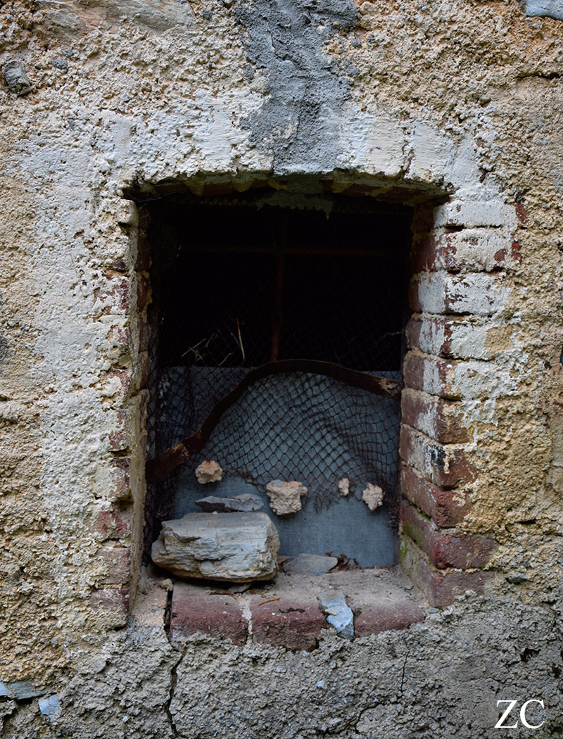 Crivella Sorrana par Zandrine C