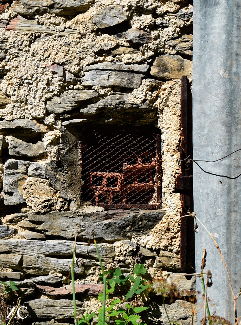 Crivella Sorrana par Zandrine C