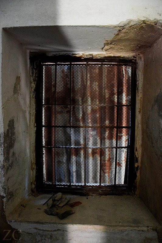 Crivella Sorrana par Zandrine C