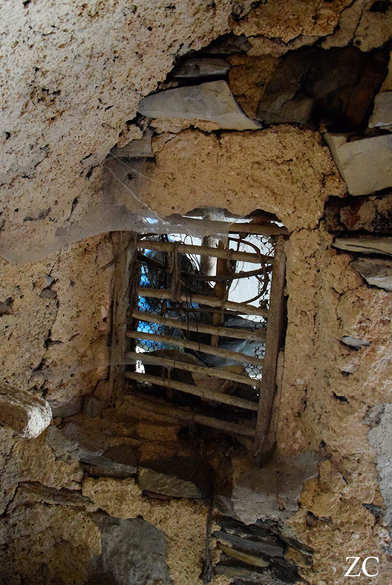 Crivella Sorrana par Zandrine C