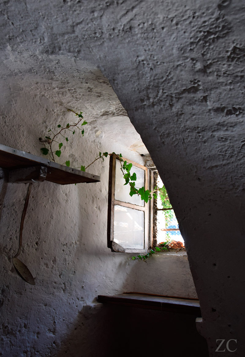 Crivella Sorrana par Zandrine C