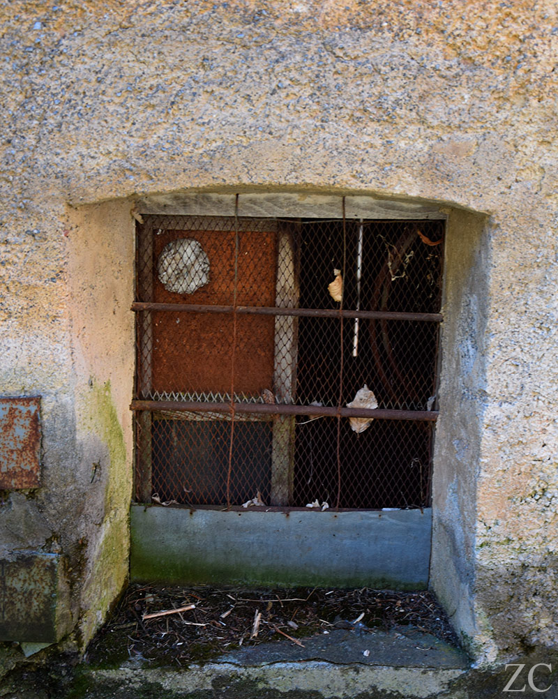 Crivella Sorrana par Zandrine C