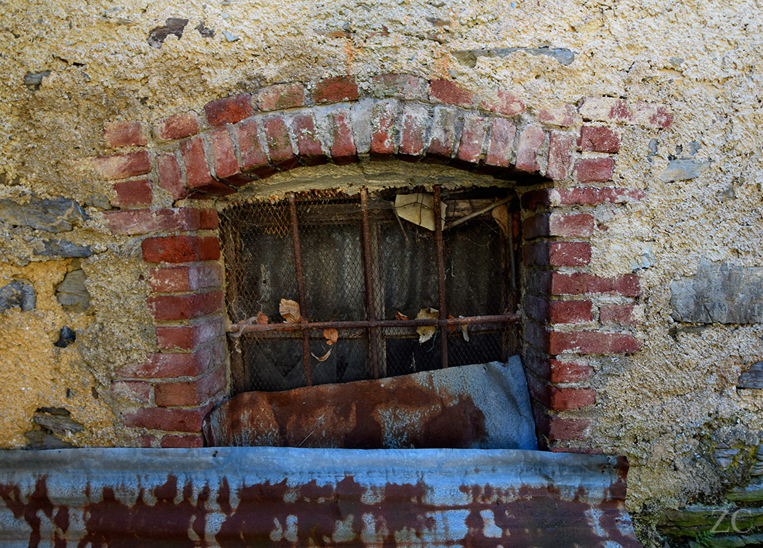 Crivella Sorrana par Zandrine C