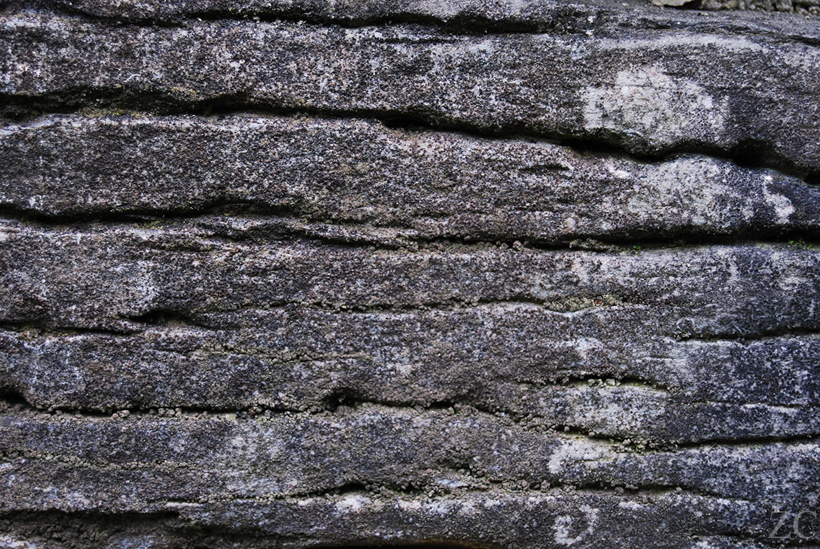 Lignes par Zandrine C