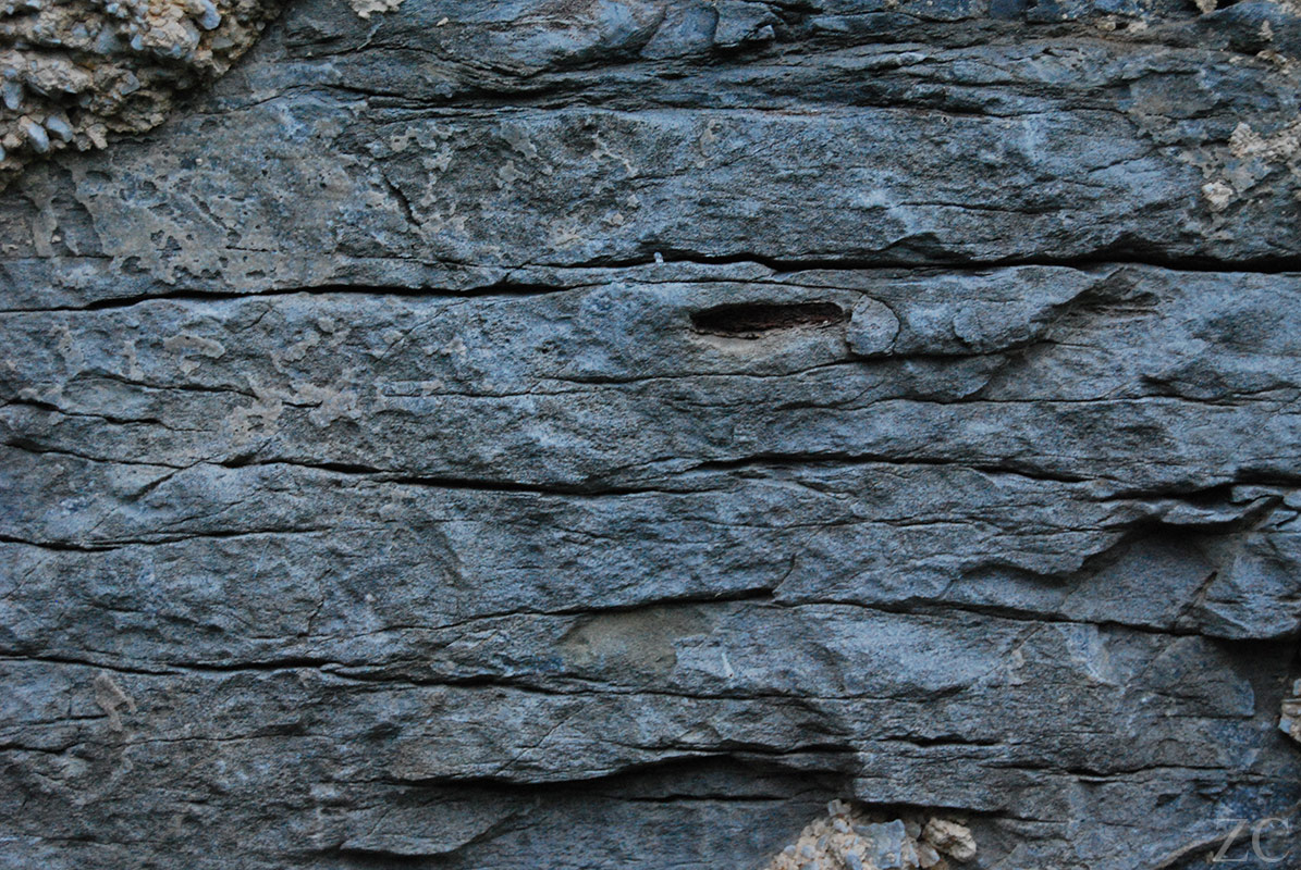 Lignes par Zandrine C