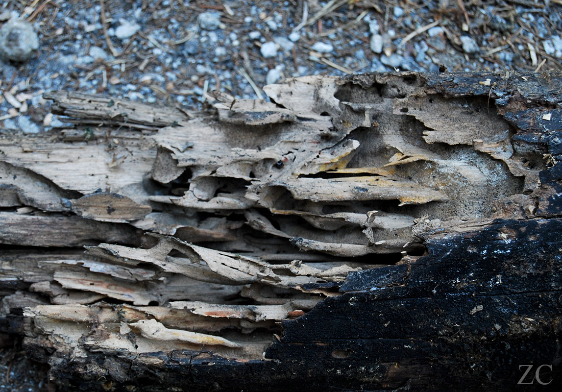 Habitat par Zandrine C