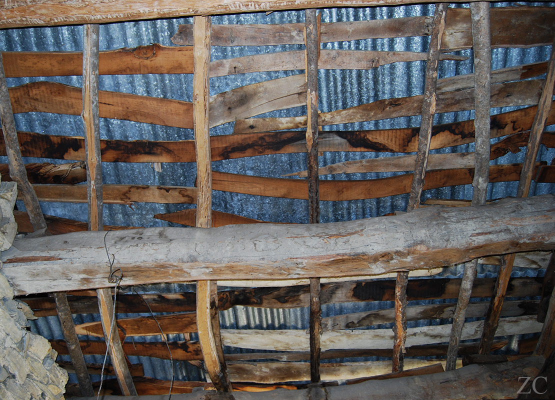 Lattes par Zandrine C