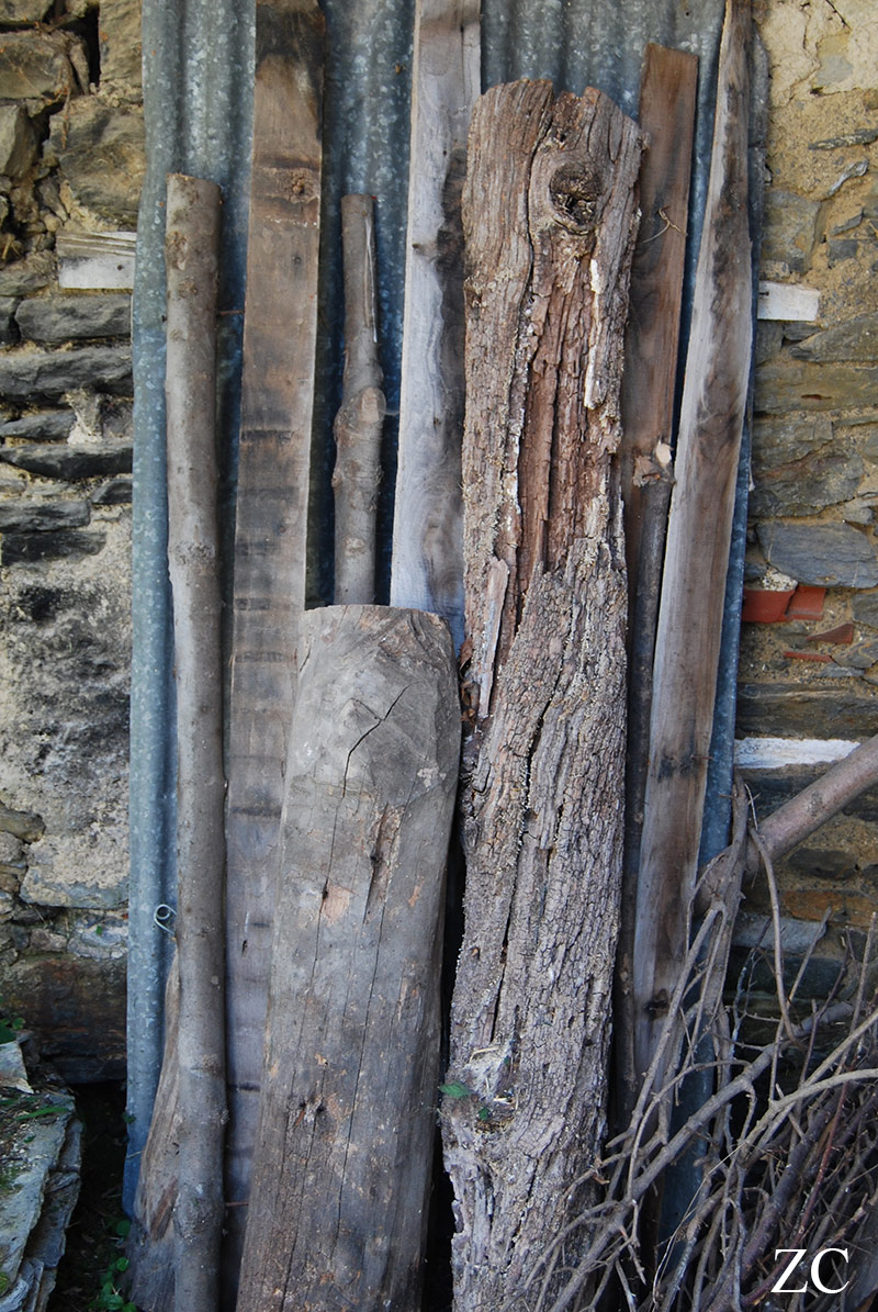 Planches par Zandrine C