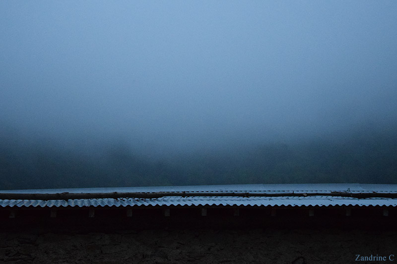 Brume par Zandrine C