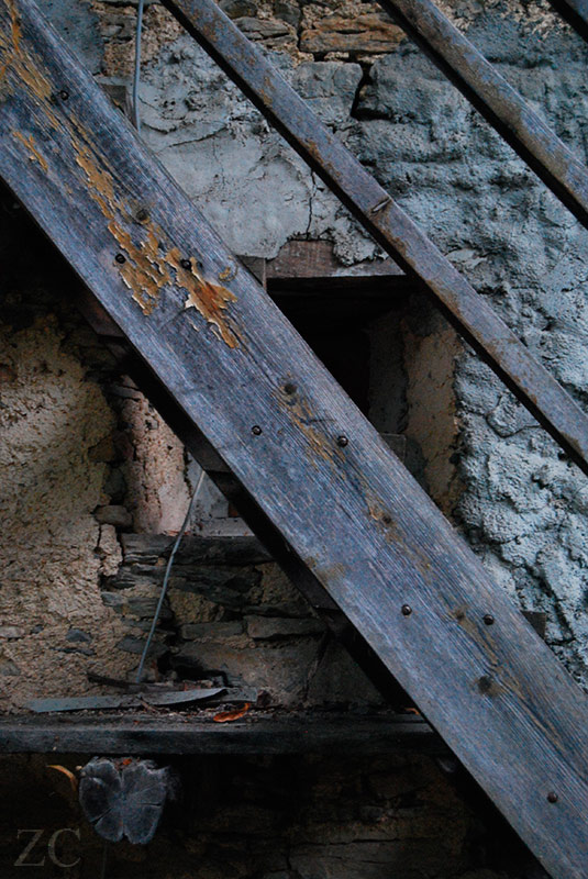 Crivella Sorrana par Zandrine C