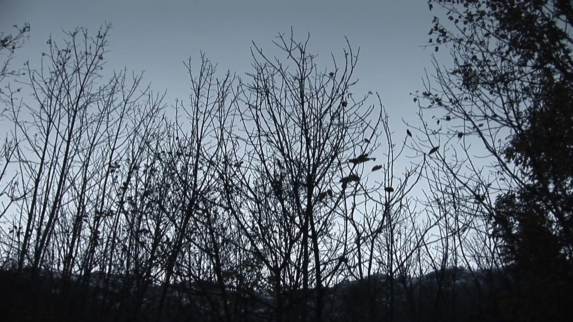 Second part par Zandrine C